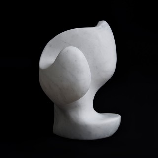 Swan - 9 000 zł